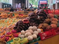 -三亚新鸿港水果一级批发市场