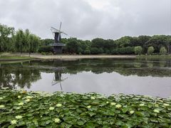 -上海鲜花港