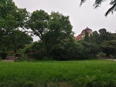 -青岛德国总督楼旧址博物馆
