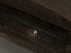 -深圳市当代艺术与城市规划馆