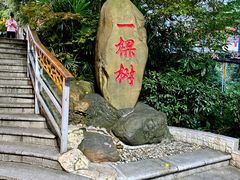 -重庆海昌加勒比海水世界