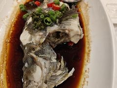 -东方御宴海鲜酒楼(棕泉酒店)
