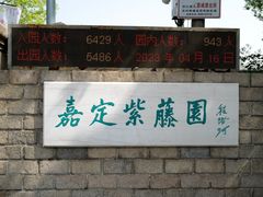 -嘉定紫藤园