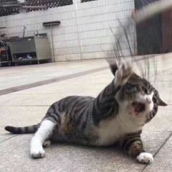 -欣奕除疤祛痘