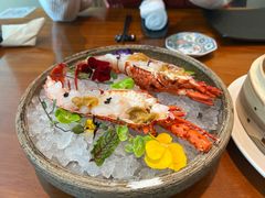 -月龍吟(朝龙汇店)