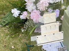 -芭厘农庄老字号·清远鸡