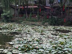 -巴山一绝烤全羊(三圣乡刘家花园店)