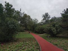 -绿堤公园
