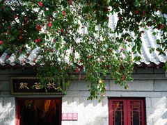 -青岛崂山太清宫