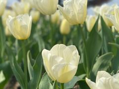 -白沙门生态公园