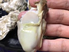 现开生蚝-七裕庄(凯旋南路店)