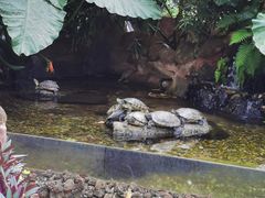 -海南热带野生动植物园