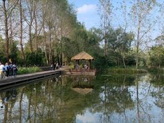 -溱湖国家湿地公园