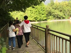 -武陵山森林公园