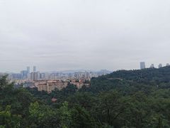 -青岛电视塔