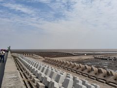 -南汇嘴观海公园