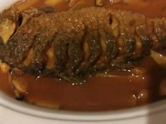 -阿五黄河大鲤鱼(纬三路店)