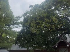 -热田神宫