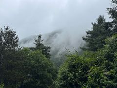 -苍山感通索道