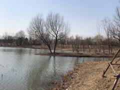 -东郊湿地公园