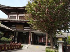 -法门文化景区