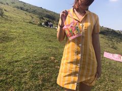 -大姆山草场