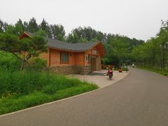 -东郊湿地公园