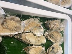 -蓝珊甄选海鲜自助·火锅大排档(近阿那亚店)