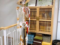 -杏林康桥中医正骨·体态矫正·跌打损伤·推拿按摩(国贸建外SOHO店)