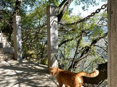 -终南山南五台景区