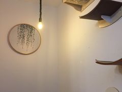 -豆老板的猫咖啡(碑林博物馆店)
