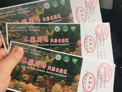 -塞罕坝国家级自然保护区