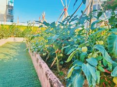 -江门市中天国际艺术幼儿园