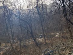 -阳台山自然风景区