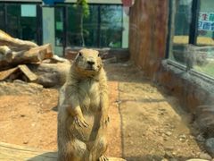 -大连森林动物园