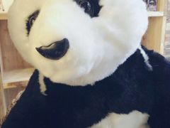 Zoo&nbsp;Coffee(南山店)-Who乎coffee&bar