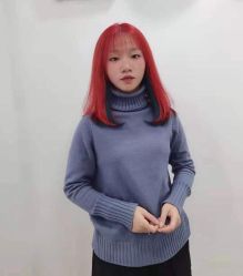 -YESIDO椰岛造型