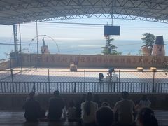 -东方熊牧场