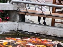 -广州花园酒店