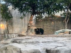 -灵玲国际马戏城