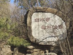 -白水寺森林公园