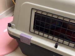-安安宠医宠物医院·异宠·犬猫内科(岳阳分院)