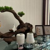 安静的小院喝茶环境不错