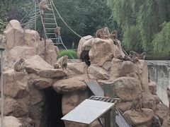 -西安秦岭野生动物园