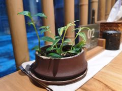 -竹里馆·淮扬菜·功夫茶(老门东店)