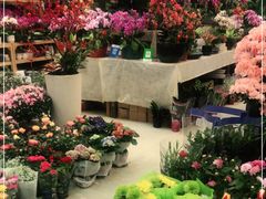 -双季花艺园艺市场(浦东店)