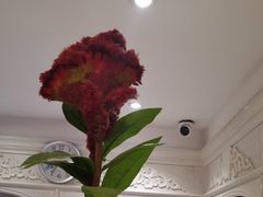 -大鸭梨烤鸭(左家庄店)