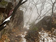 -少林寺欢喜地素斋馆