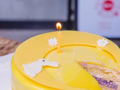-壹点壹客·生日蛋糕(龙岗店)