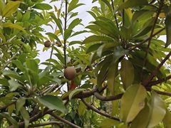 -中国移动南方基地